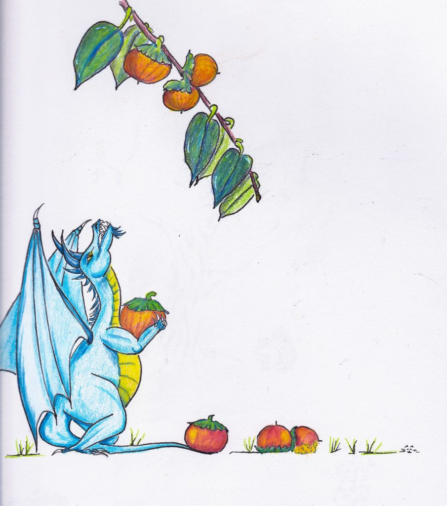 Pickin' Persimmons. Tiny dragon art inspired by looking at a 'simmon tree. Colored pencil and India ink