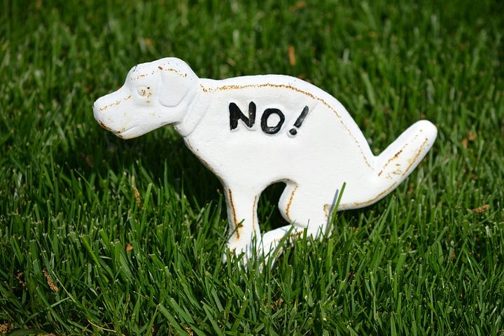 A small white metal figure of a dog squatting to poop in a grassy area. It has the word “no!” written on it.