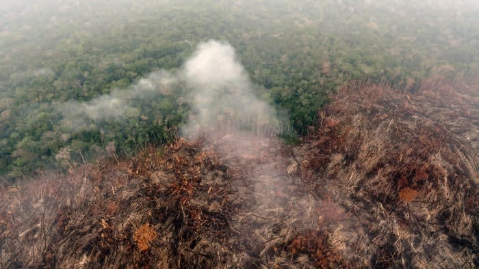 Amazon destruction woes overshadow Brazil's farming advances
