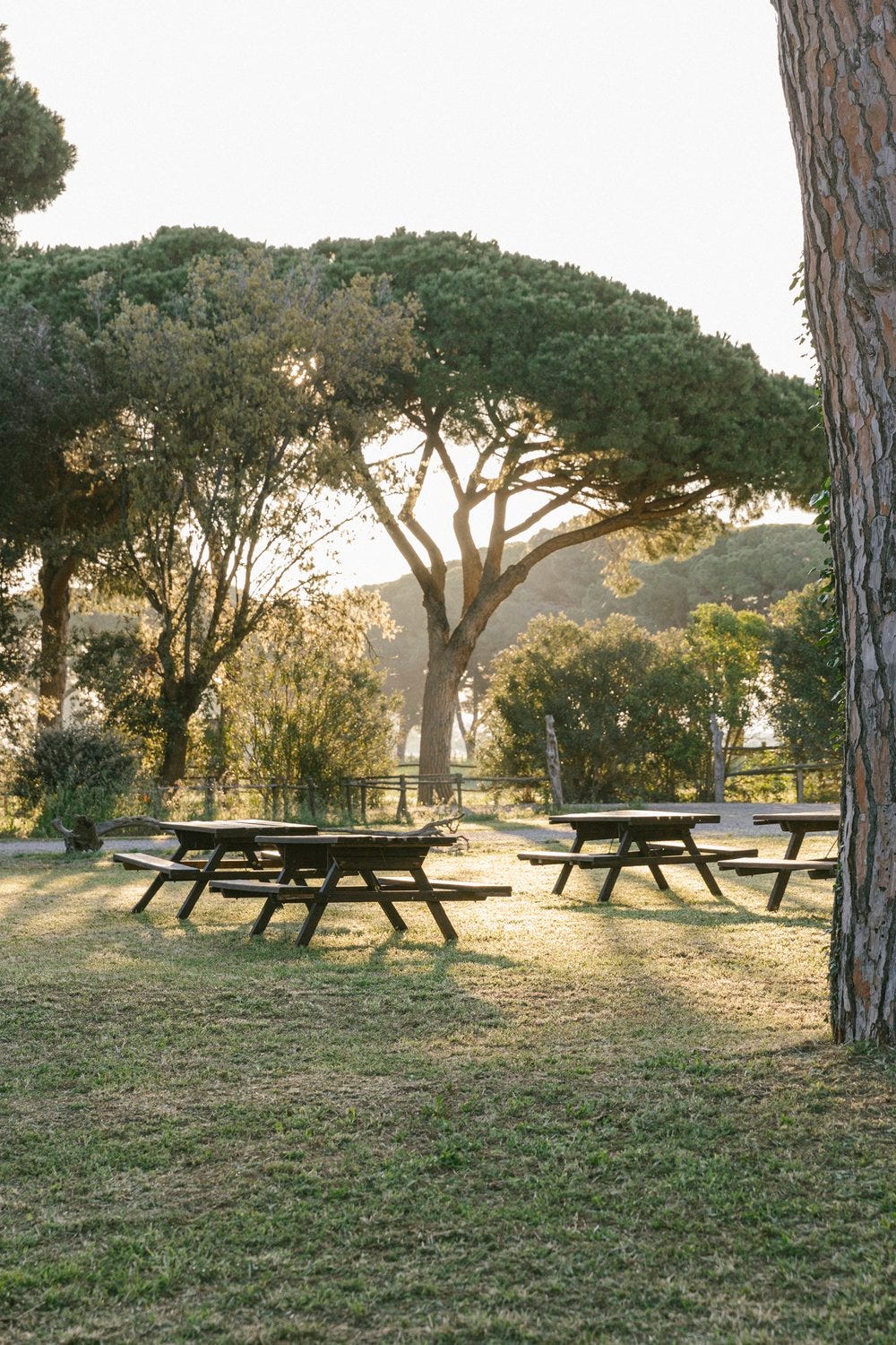 Tenuta san carlo_Saghar Setareh-2.jpg Tenuta san carlo_Saghar Setareh-2.jpg