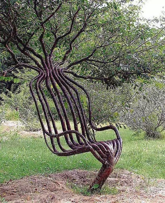 Artist Spends 8 Years Creating This Tree Chair