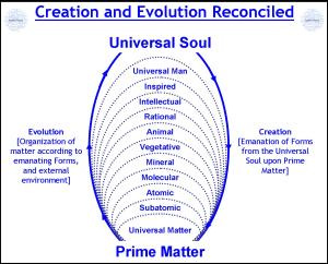 Creation_Evolution