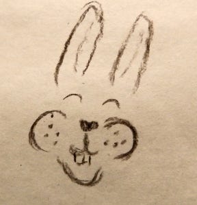 Bunny face sketch