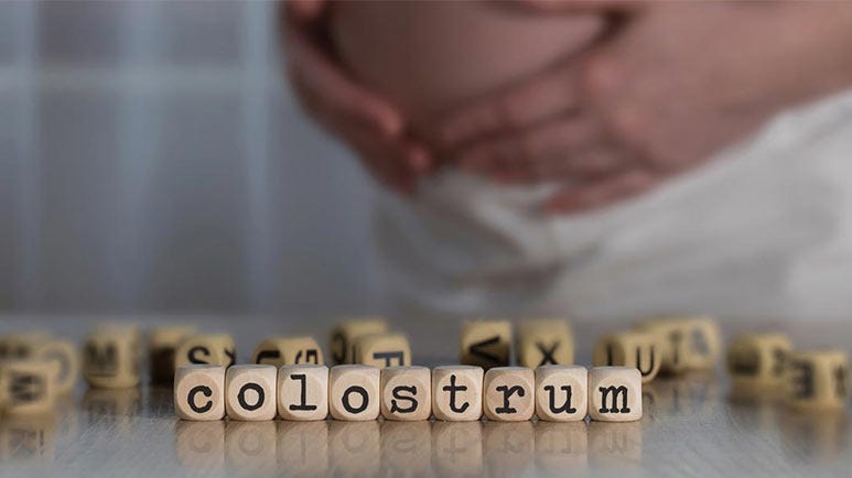 colostrum first milk health benefits
