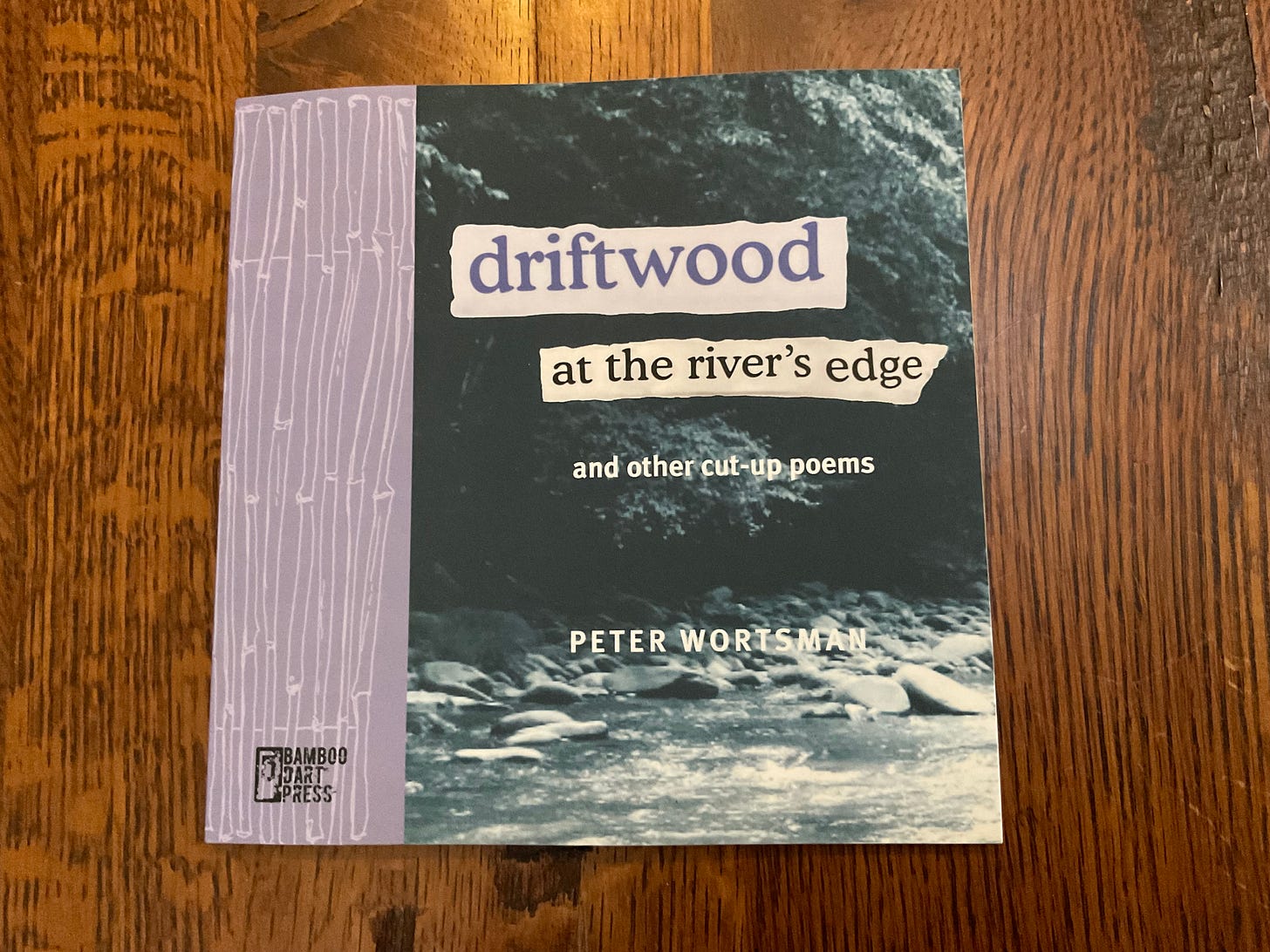 Book cover image of river water with stones and a lush bank.