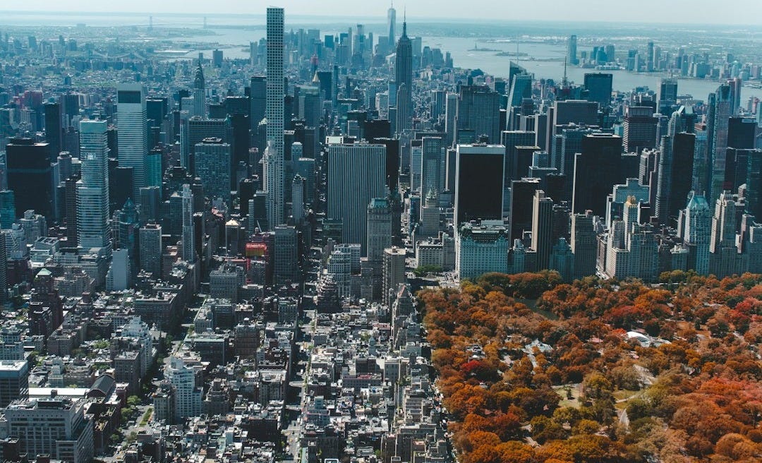 birdseye photo of city