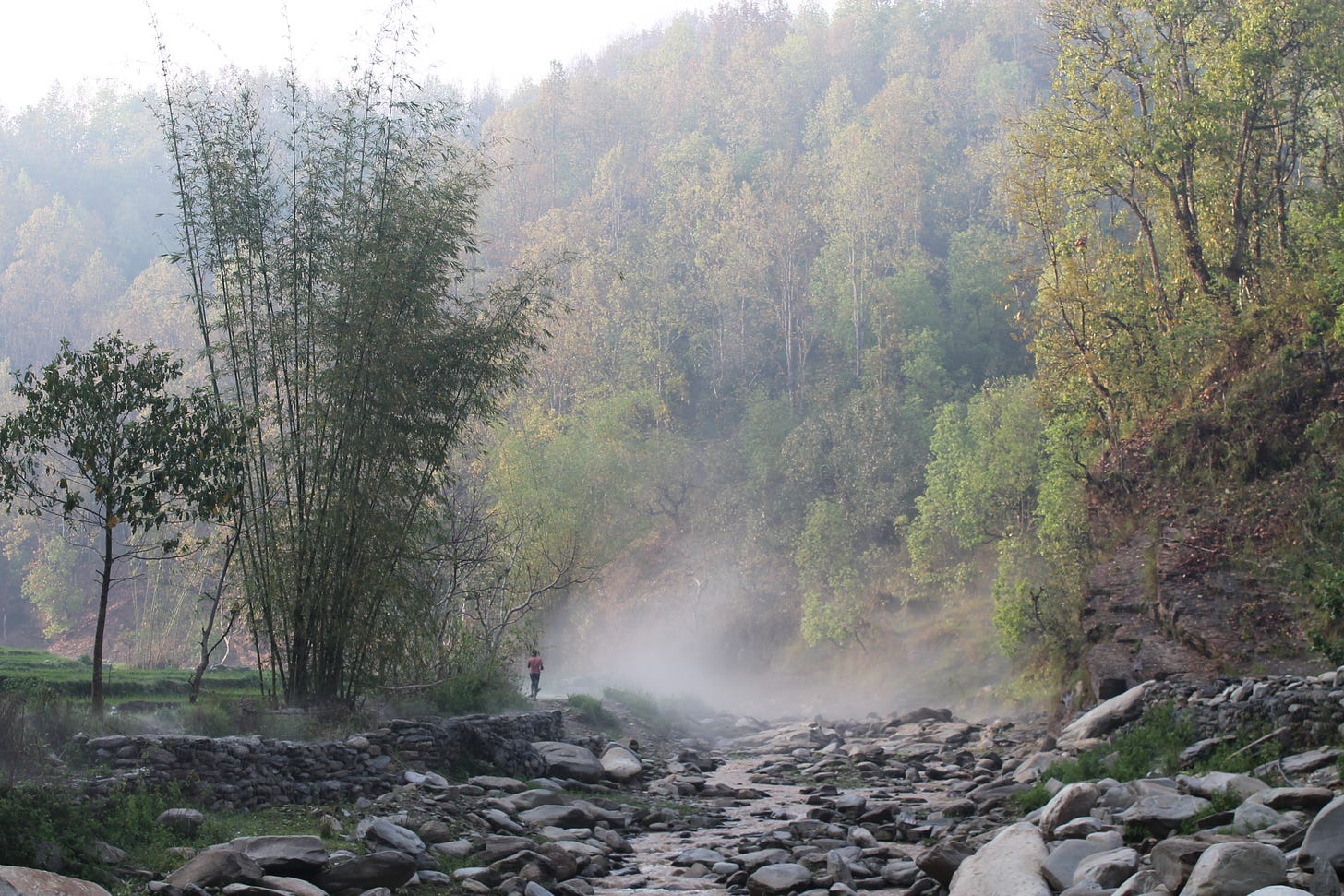 River and surrounding trees in Chandrawati.