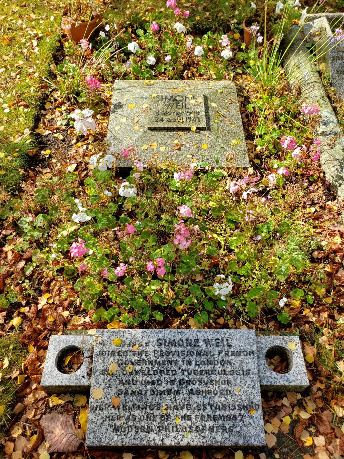 Simone Weil's grave, in England, surrounded by white and pink flowers and overgrown foliage.