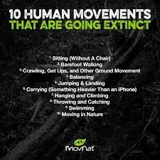 MovNat - I see a world coming where walking will become just a notion; a  skill of the past. A world where people will have to learn how to walk  again. -