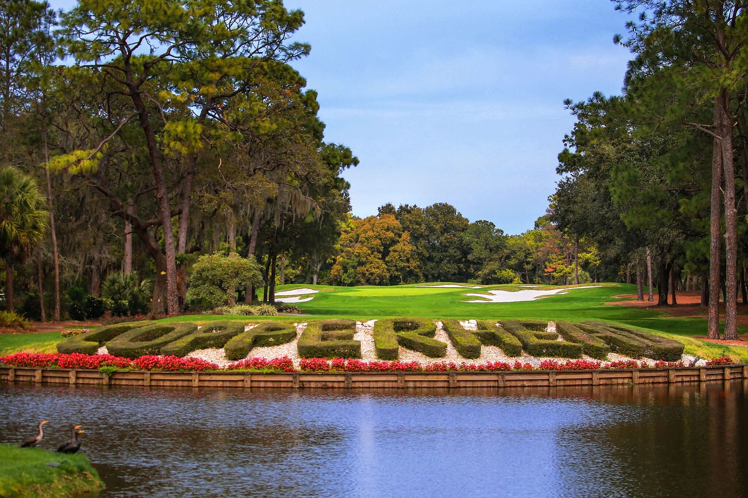 Innisbrook Resort - Womens Golf Day