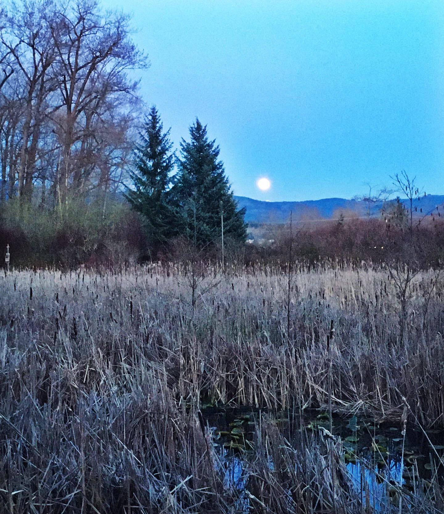 Full moon rises over pond, photo by JPC
