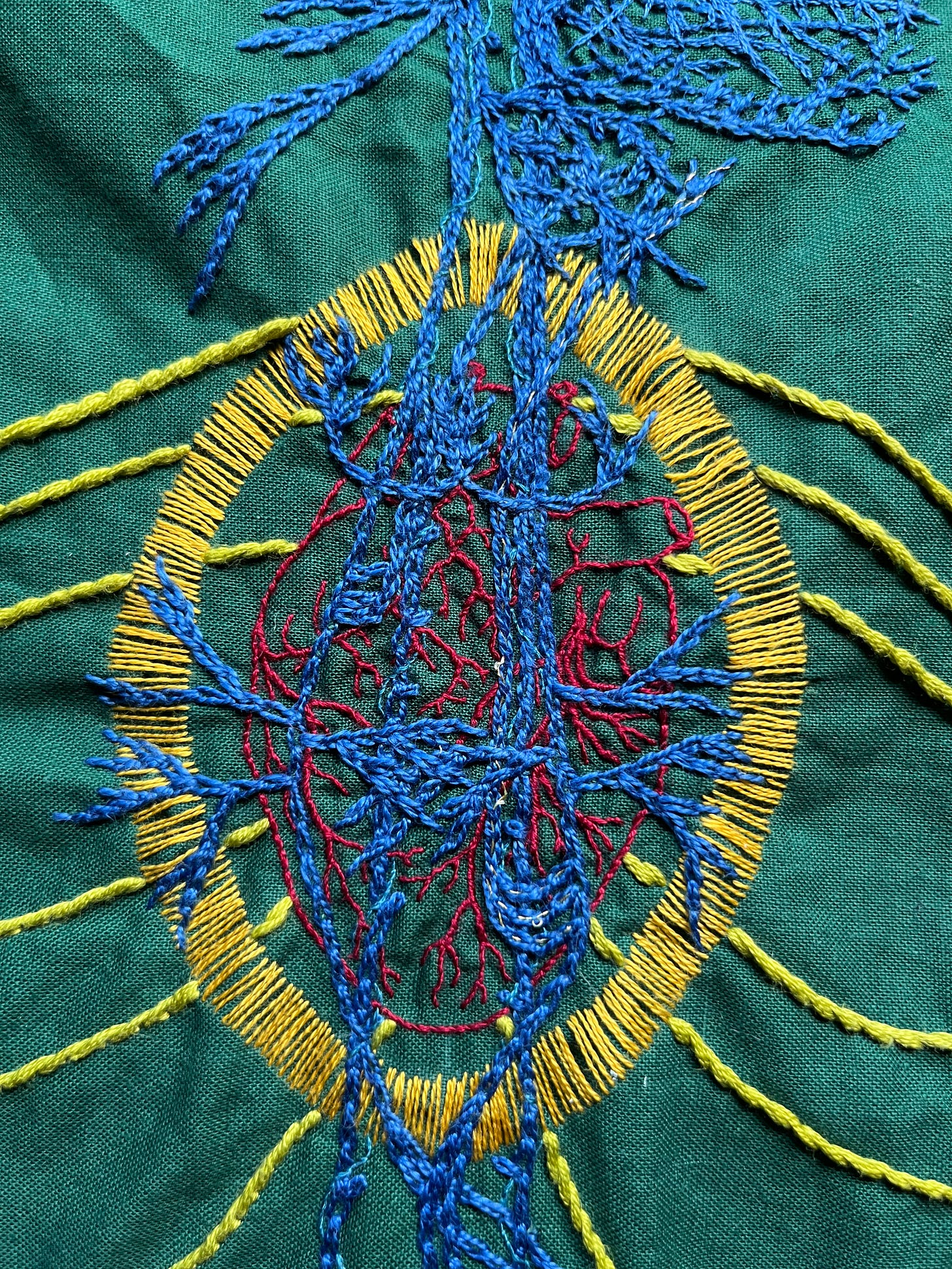 The upper chest area of a vagus nerve stitched in blue chain stitch on green cotton. An anatomical heart is stitched in two and one strand red whipped back stitch. Around it a bright golden yellow halo in a vesica piscis shape is stitched in single strand thread. From behind the heart emanate bright green/yellow stem stitch curved lines. There is some gold thread woven into the recurrent laryngeal nerve. The upper chest area of a vagus nerve stitched in blue chain stitch on green cotton. An anatomical heart is stitched in two and one strand red whipped back stitch. Around it a bright golden yellow halo in a vesica piscis shape is stitched in single strand thread. From behind the heart emanate bright green/yellow stem stitch curved lines. There is some gold thread woven into the recurrent laryngeal nerve. 