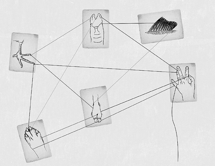 Sage Research Methods Foundations - Haraway, Donna