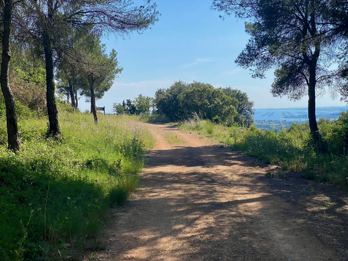 Le gravel, c’est pas du VTT Le gravel, c’est pas du VTT