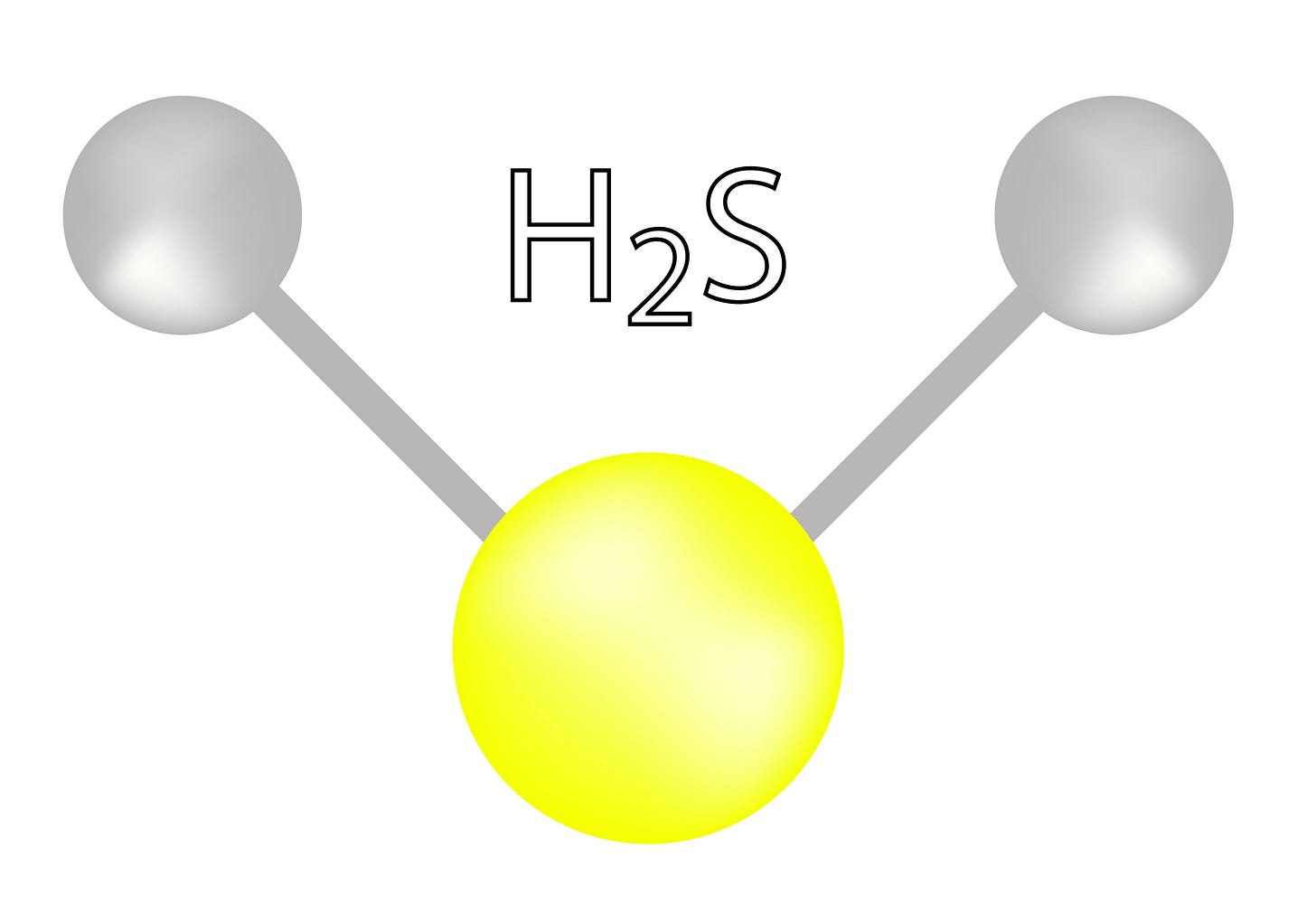 H2S-shutterstock_642554227-cropped
