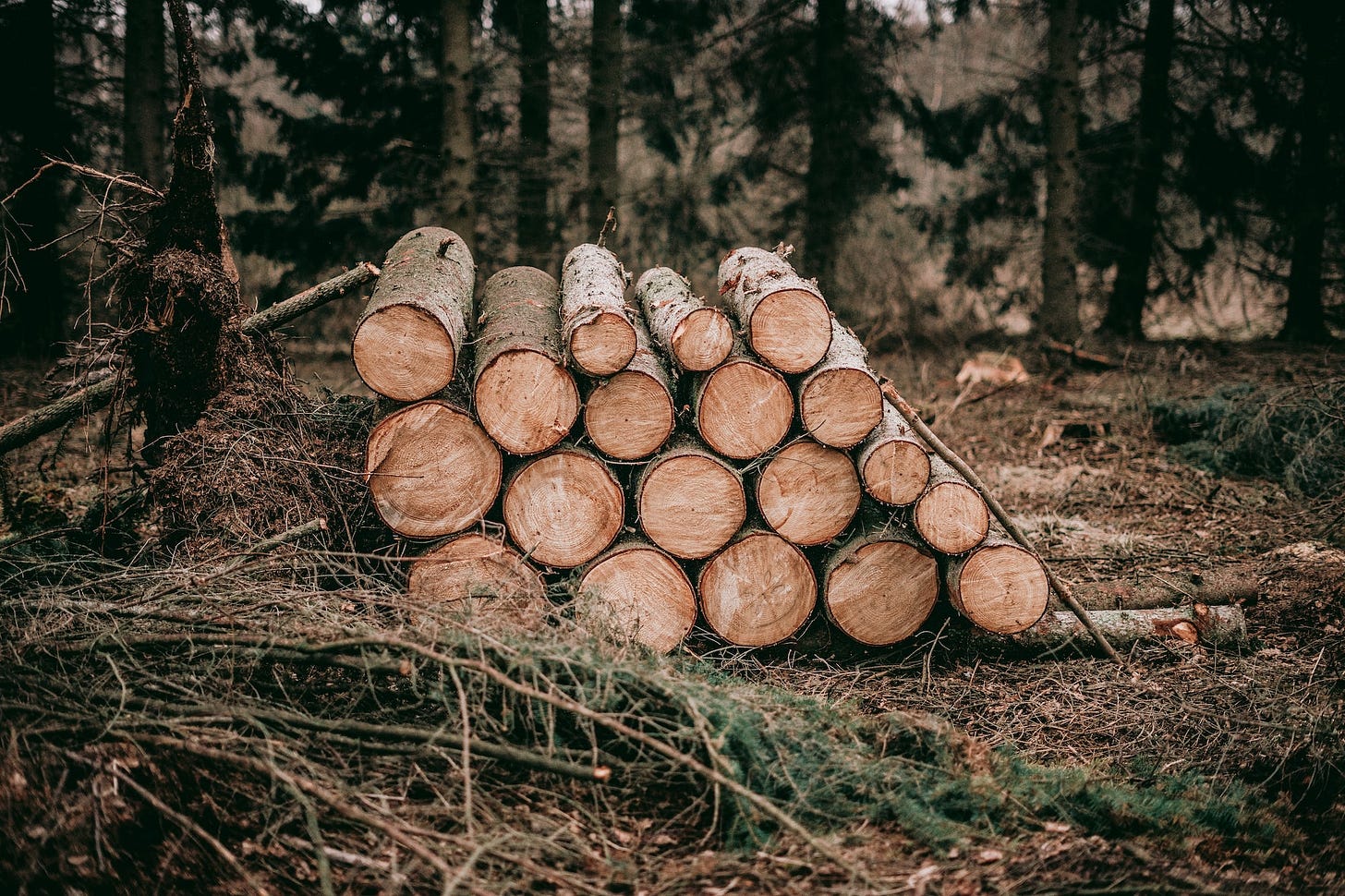 Installing Elasticsearch, Fluentd, Kibana (EFK stack) with Docker-compose (and a little theory about Ingest Pipelines) Installing Elasticsearch, Fluentd, Kibana (EFK stack) with Docker-compose (and a little theory about Ingest Pipelines)
