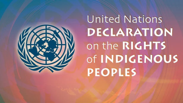 The Implementation of UNDRIP in Canada and BC: What Does This Mean for  Indigenous Women and Girls? - Watson Goepel Vancouver Lawyers
