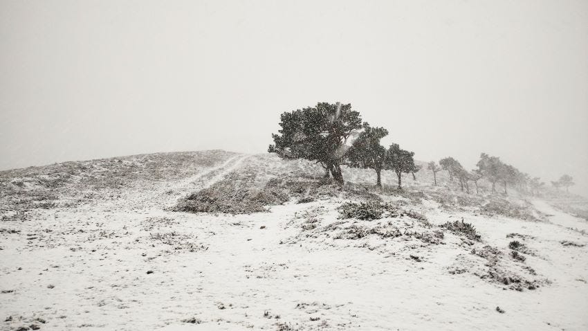 Etapa 5 del Camino Primitivo. Borres-Berducedo