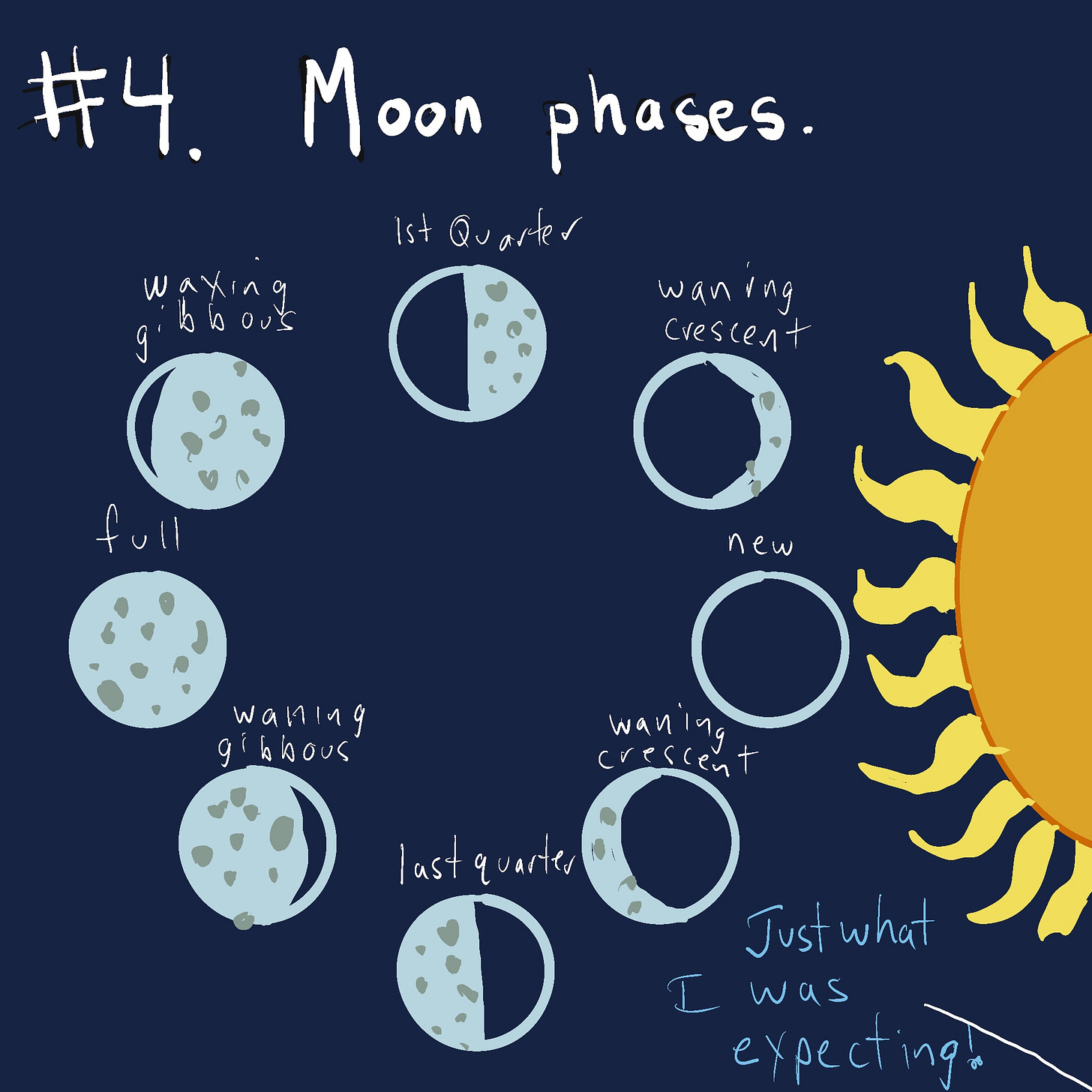 moon phases