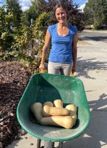 I harvested 42 pounds of butternut squash this year from my garden