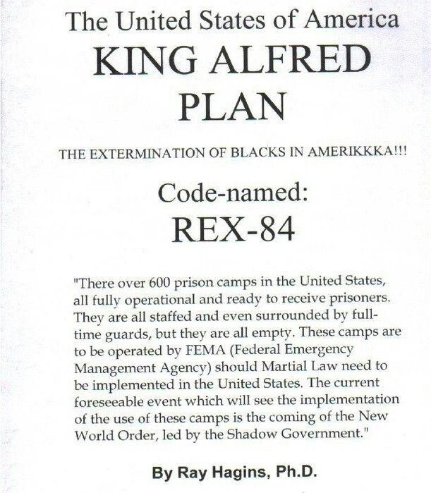 KING ALFRED PLAN:REX-84 | How to plan, Historical facts, Truth