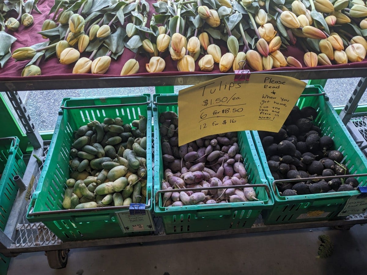 What’s in season: At the end of April, Farm Fresh RI’s Providence farmers market showcases a plethora of vendors and the last of the overwintered root vegetables