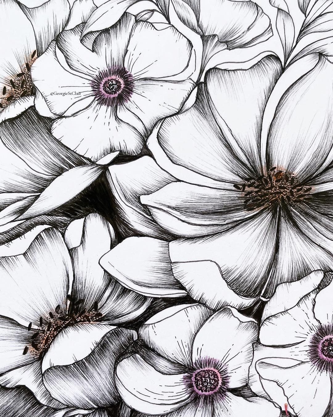 Floral details made using fineliner drawings pens and polychromos pencils by Georgie St Clair