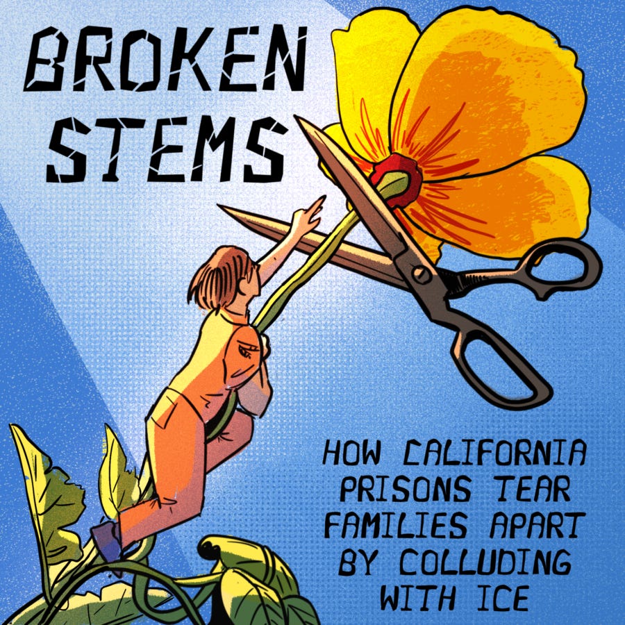 An illustration shows a man in an orange jumpsuit climbing the stem of a poppy flower. He raises one arm towards the top and just beyond his hand a large pair of scissors is in position to clip the flower stem. Large text in the top left reads, "Broken Stems." In smaller text in the bottom right corner, a subtitle says: "How California prisons tear families apart by colluding with ICE."
