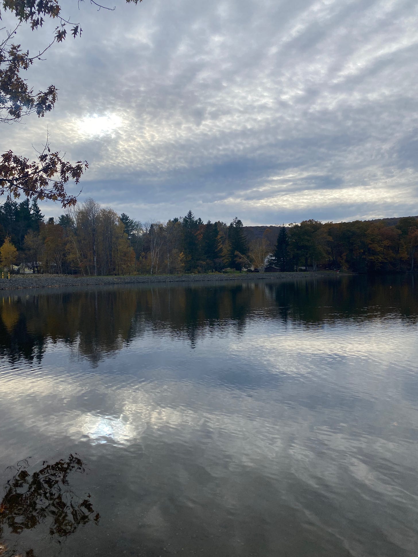 Ashfield Lake under a grey sky streaked with sunlight. Clouds, the sun, and gold and brown trees are reflected on the water’s surface.