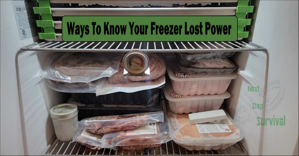You are currently viewing There Are Much Better Ways (Than A Coin) To Find Out If Your Freezer Lost Power