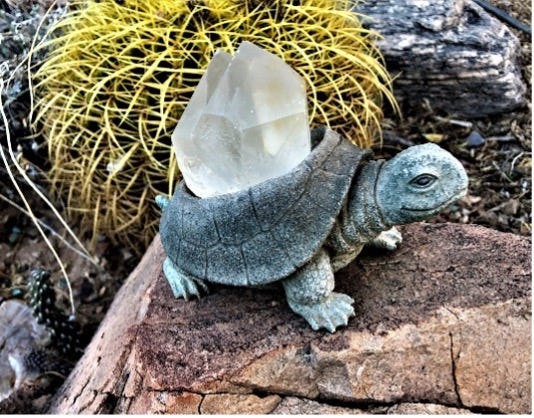 Turtle statue in front of barrel cactus