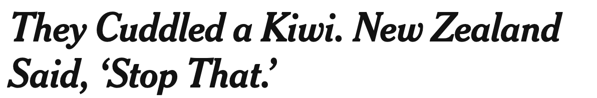 "They Cuddled a Kiwi. New Zealand Said, ‘Stop That.’"