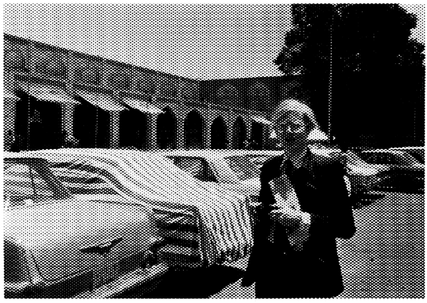 Andy Warhol in Iran with a screenprint effect