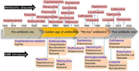 Timeline depicting the discovery of major antibiotics and subsequent ...