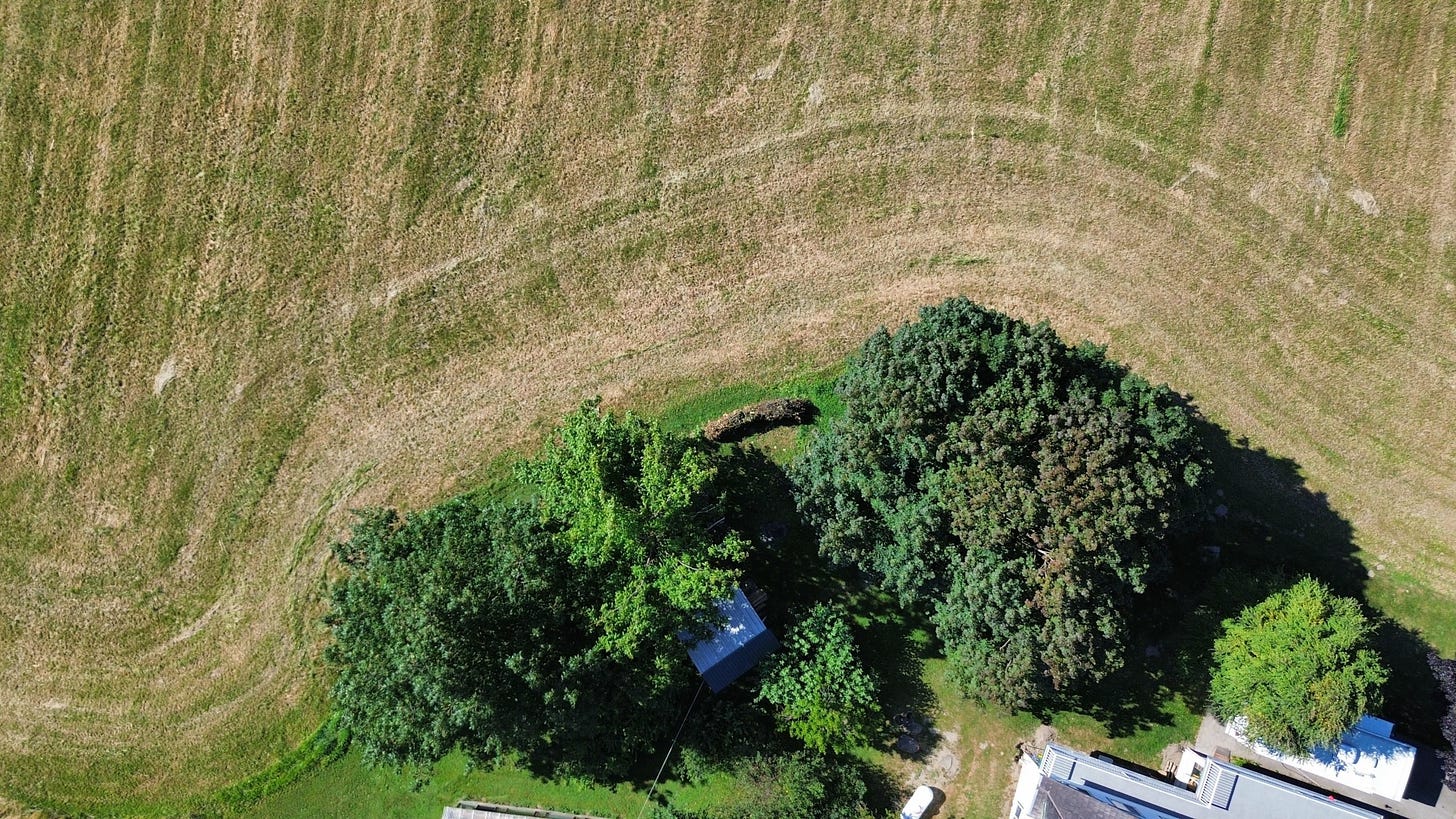 dead hedge site