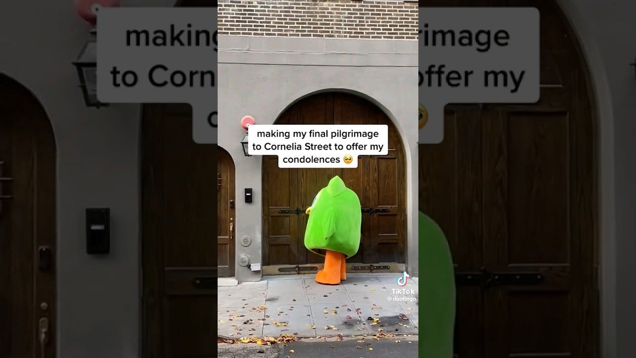Duolingo bird visits "Cornelia street" after Taylor Swift's breakup with  Joe Alwyn - YouTube