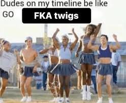 FKA Twigs Memes (@fkatwigsmemes) • Instagram photos and videos