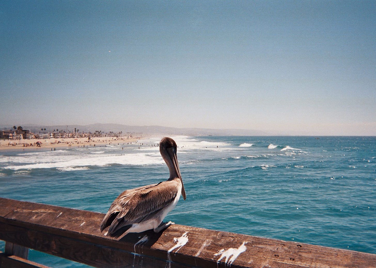 photo by Sabrina Simpson
