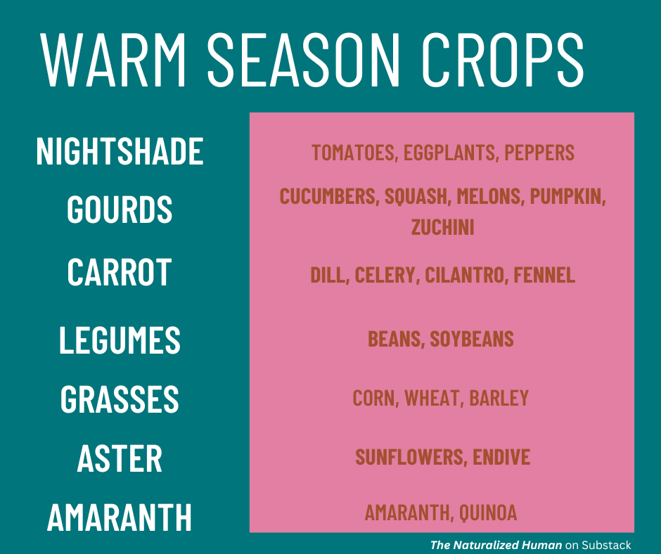 warm season crops by plant family chart