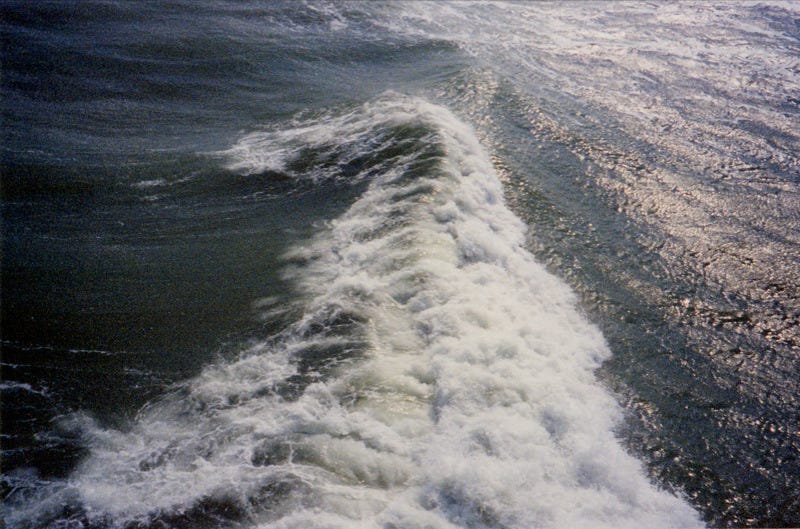 a wave breaks, white and foamy, surrounded by a crystal dark sea dappled with light