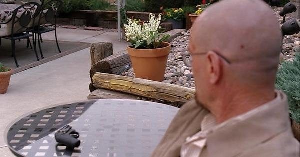 Spoiler] Rewatching S4:E12 Walt spins the gun and it points to his Lily of  the Valley plant. I think this gives him the idea to poison Brock. : r/ breakingbad