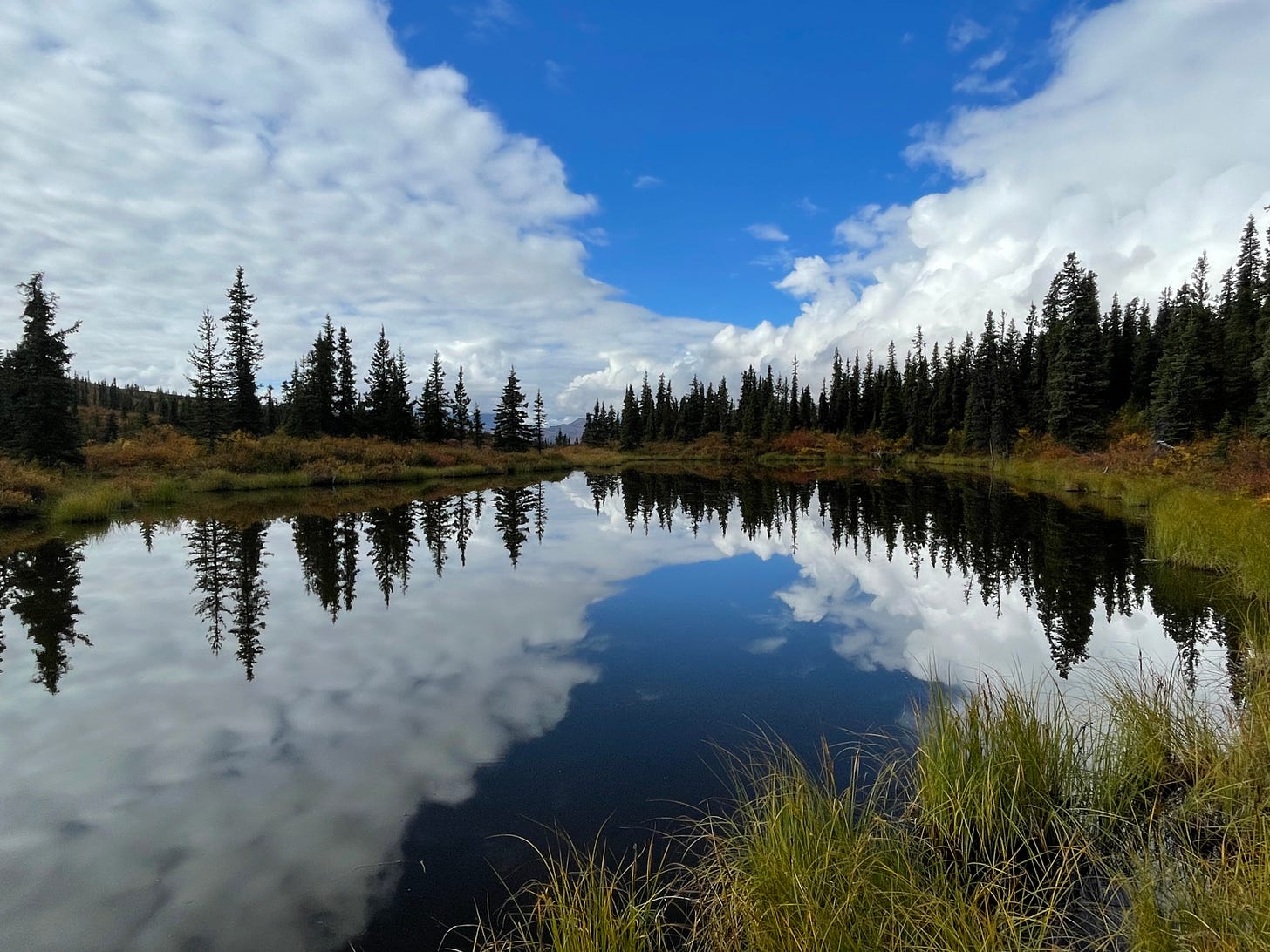 An alpine lake, the clouds and fir trees and grasses surrounding it reflected on its surface