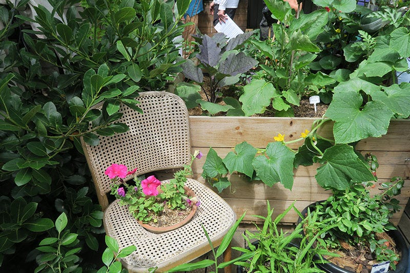 A wicker chair with the seat cut out to make room for a pot of flowers.