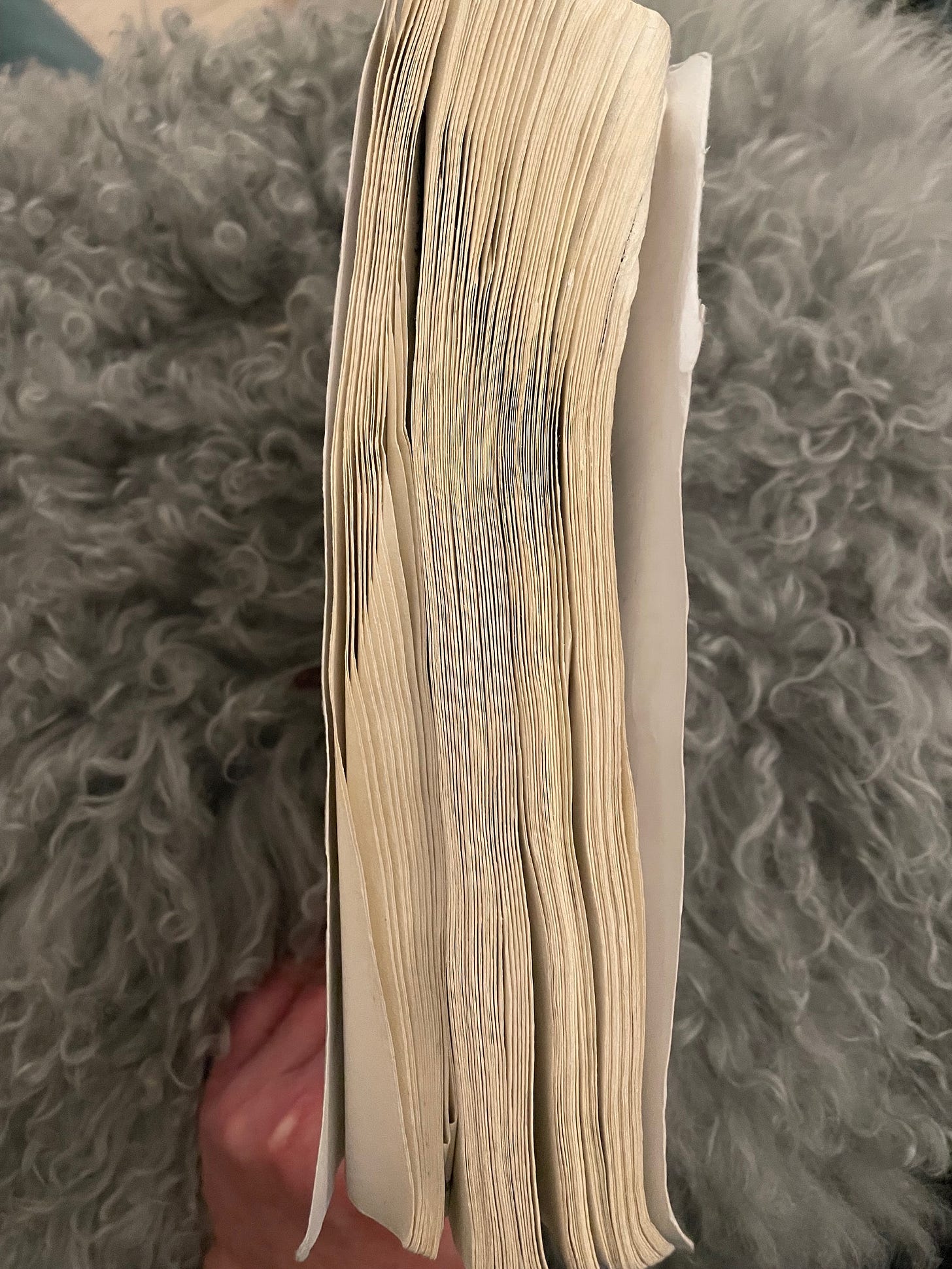 Side picture of Rooted, with the pages all wavy from water and a bananna