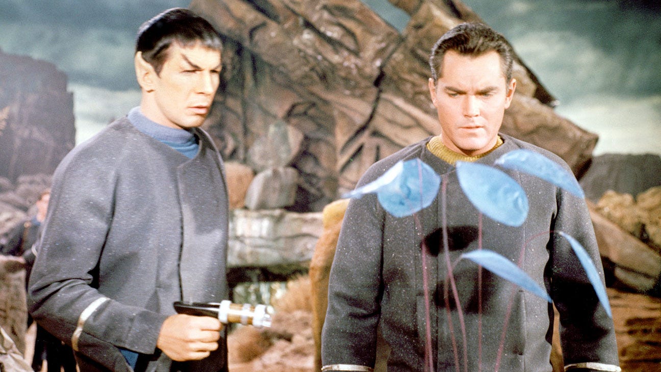 'Star Trek': The Unexpected Afterlife of the Doomed First Crew