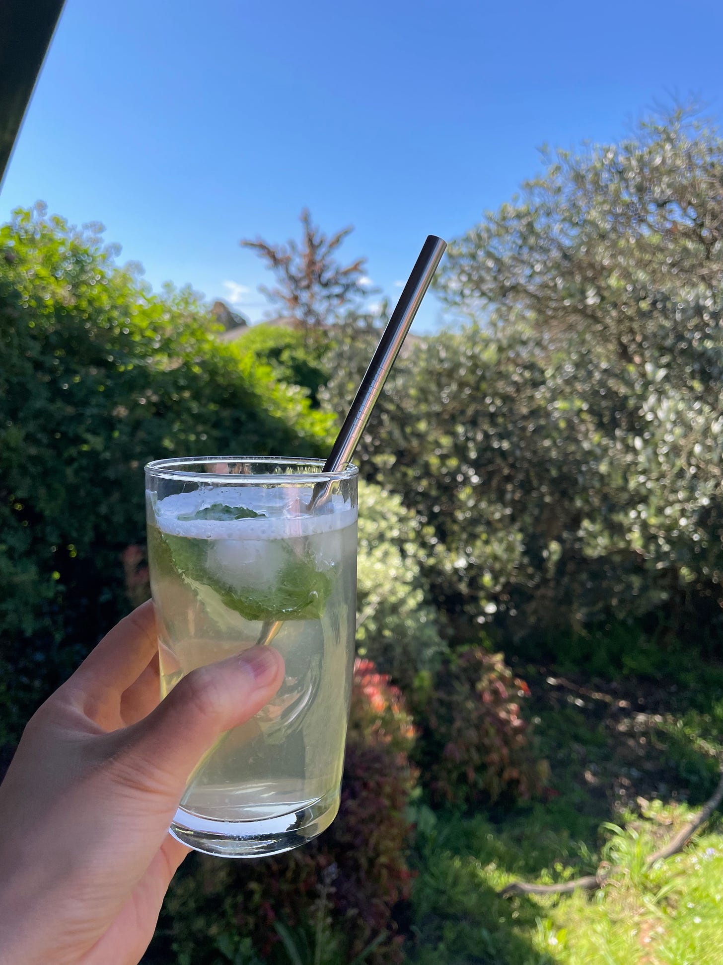 Iced tea served in the garden with a blue sky and bushes in the background