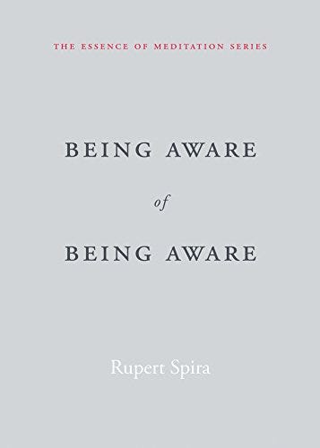 Being Aware of Being Aware (The Essence of Meditation Series) See more