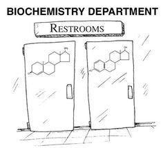 19 Biochemistry cartoons ideas | biochemistry, science humor, biology humor