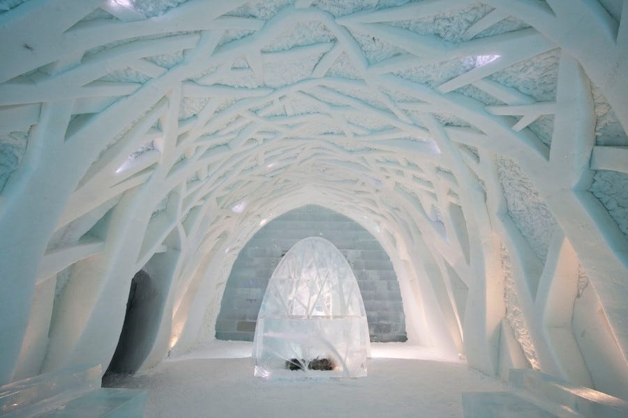 A room carved out of snow and ice, resembling an entrance hall with walls and ceiling covered in artistic tree branches