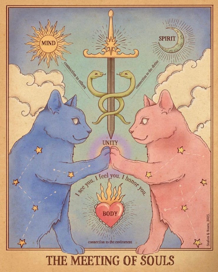 Illustration of two cats, one pink and one blue, each facing each other as if a mirror image with one paw up to the other. They have a star constellation inside their bodies and a sword with two snakes wrapped around it is hovering above and between them while a sacred heart on fire with the text “BODY” written inside hovers below. A sun and moon can be seen on either side in the sky. Text within the sun says “MIND,” text within the moon says “SPIRIT” Text runs from the sun to the blade which says “connection to others” Text runs from the moon to the blade which says “connection to the divine” Text beneath the the heart says “connection to the environment” Text above the cats connected paws says “UNITY” Text surrounding the sacred heart says, “I see you I feel you I honor you”  Text at the bottom of the whole illustration reads large in bold “THE MEETING OF SOULS”